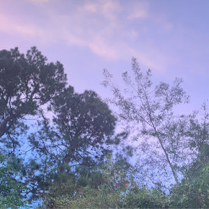 Meet your Posher, Saydi